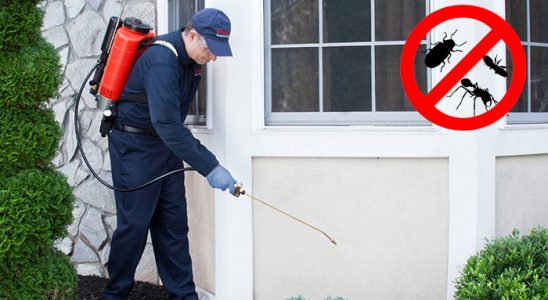 Muratlı Karınca İlaçlama böcek ilaçlama ve haşere kontrolü — ilaclama-tr.com